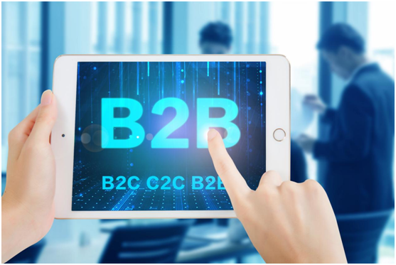 B2B平台在促进先进技术装备进出口中的核心作用