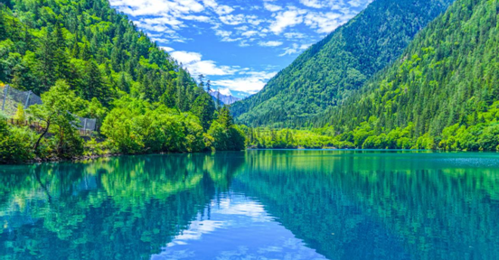 1762220366173259.png image.png