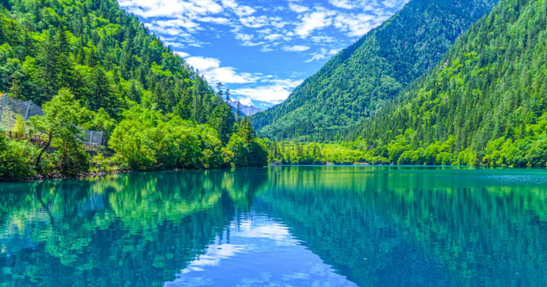 苏美达达天下平台 我国发布绿色贸易领域首部专项政策,全面推动外贸绿色转型