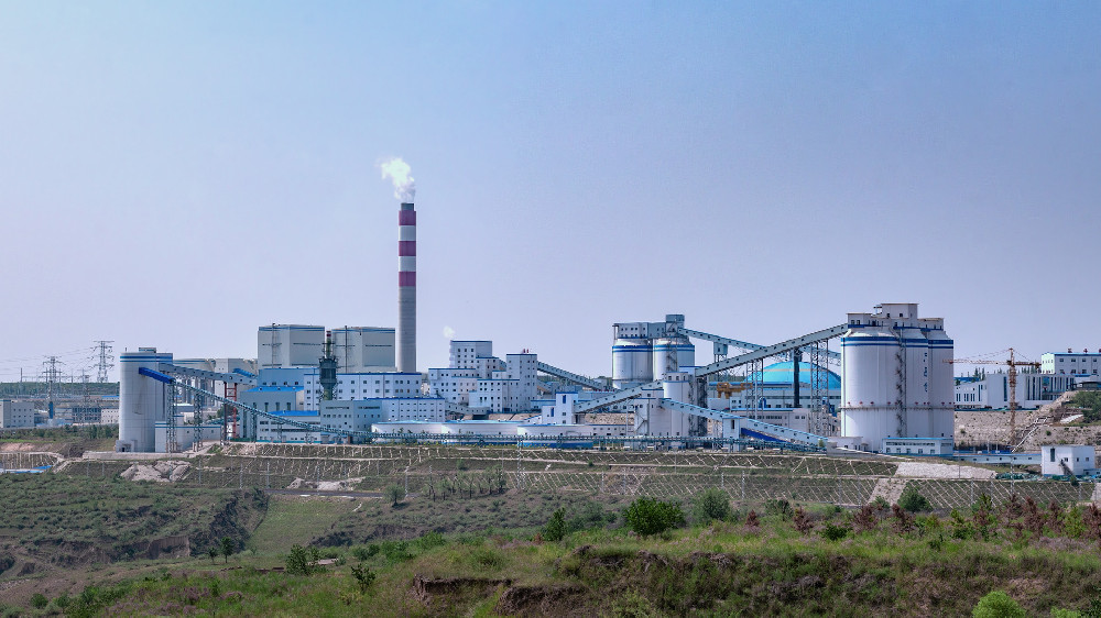 政策导向对不同规模企业投资建厂项目的影响差异